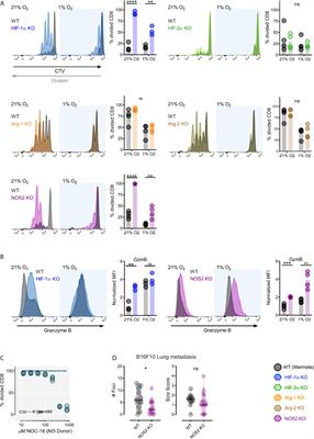 Oxygen-Mediated Suppression of CD8+ T Cell Proliferation by Macrophages: Role of Pharmacological Inhibitors of HIF Degradation